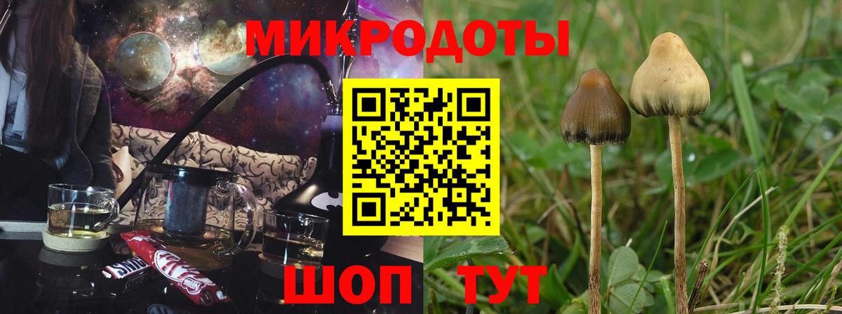 купить   Вход с VPN  Арсеньев  Галлюциногенные грибы Psilocybine cubensis 